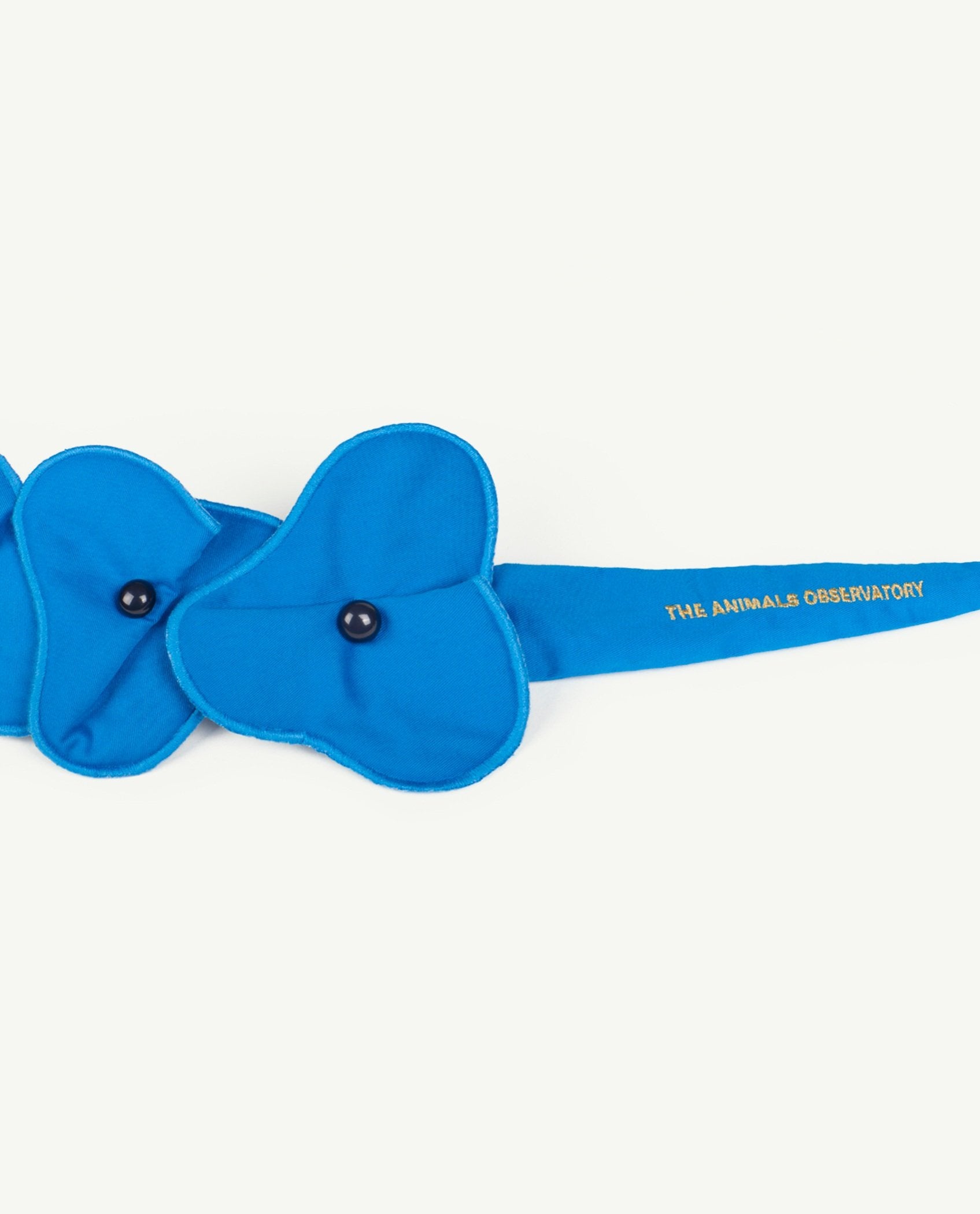 Blue Flower Belt PRODUCT SIDE