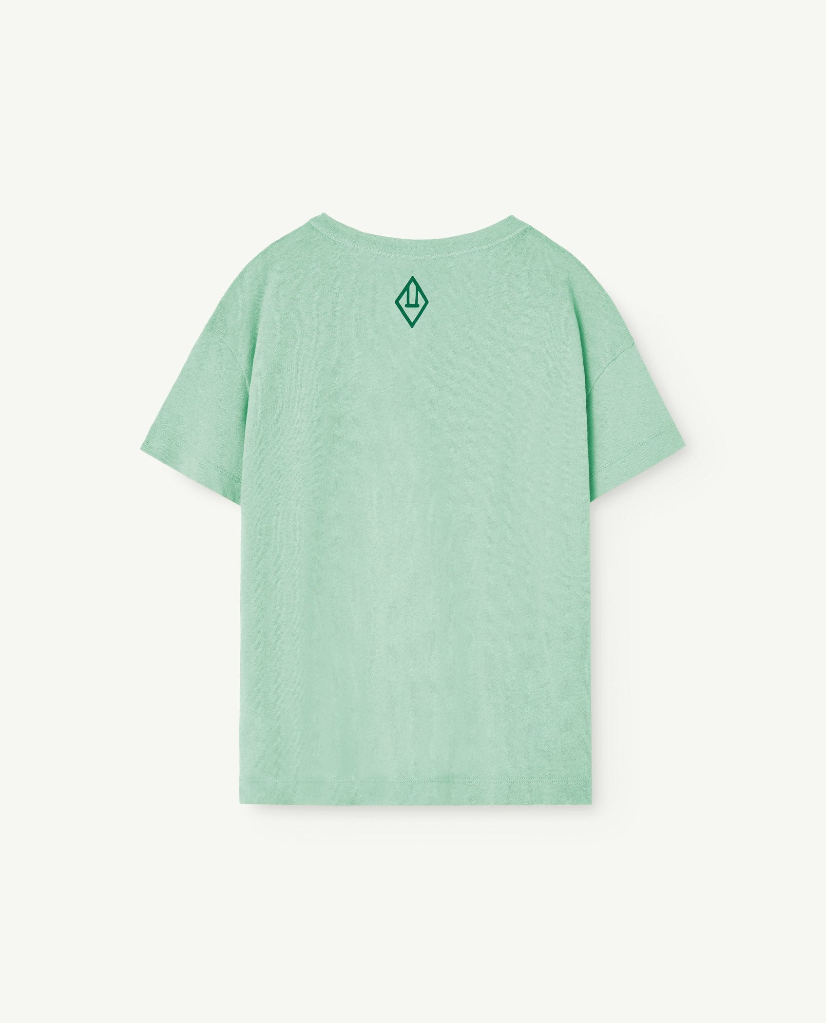 Turquoise Orion Kids T-Shirt PRODUCT BACK