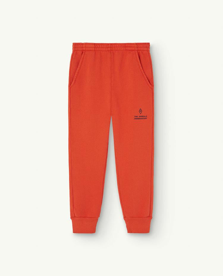 Red Draco Kids Sweatpants COVER