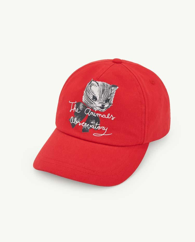 Red Kitten Hamster Cap COVER