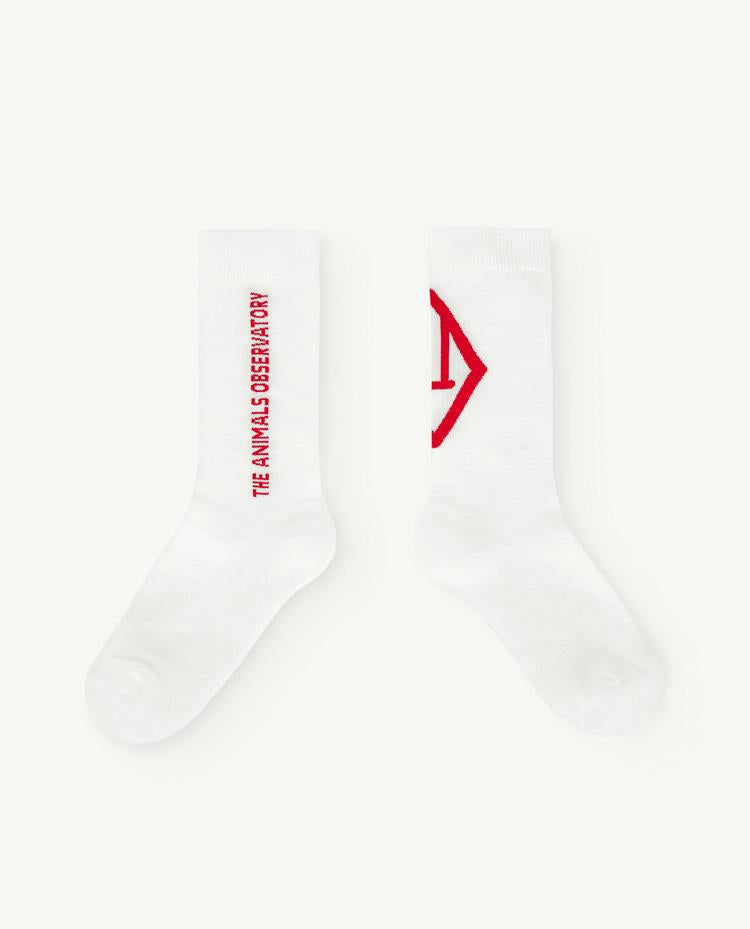 Red Christmas Worm Socks COVER