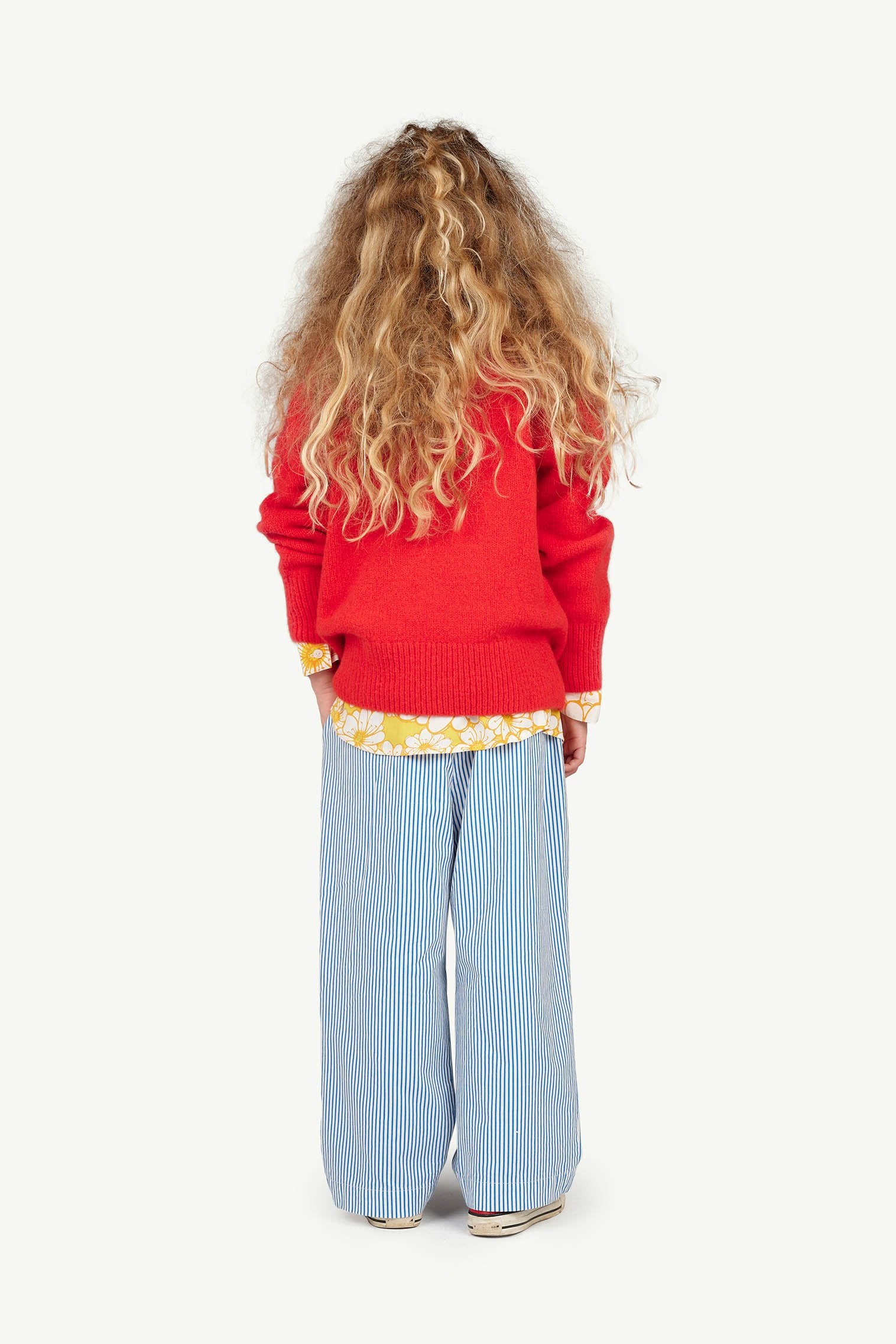 Red Fish Bull Sweater MODEL BACK