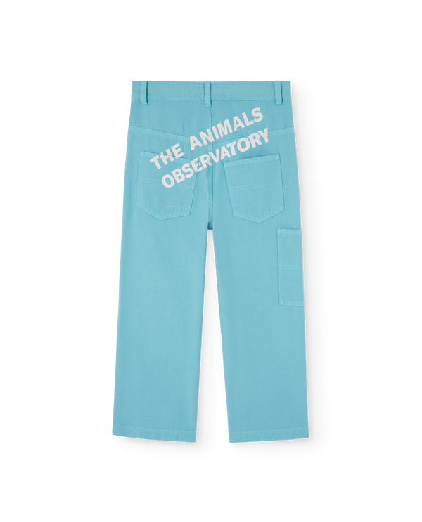 Blue Condor Pants PRODUCT BACK