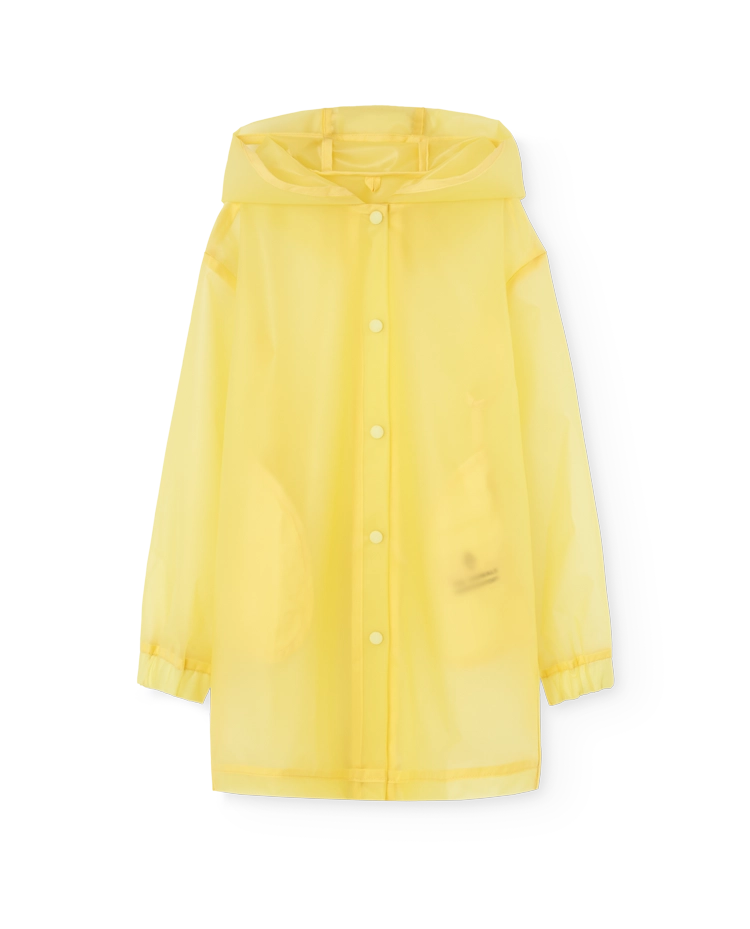 Yellow Lion Raincoat COVER