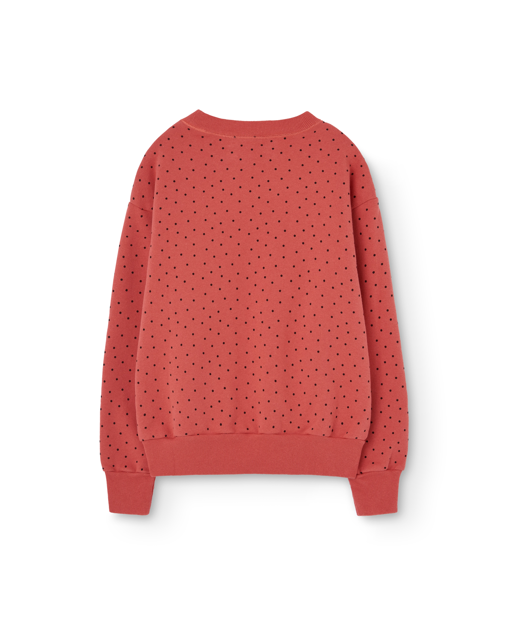 Red Bear Sweatshirt PRODUCT BACK