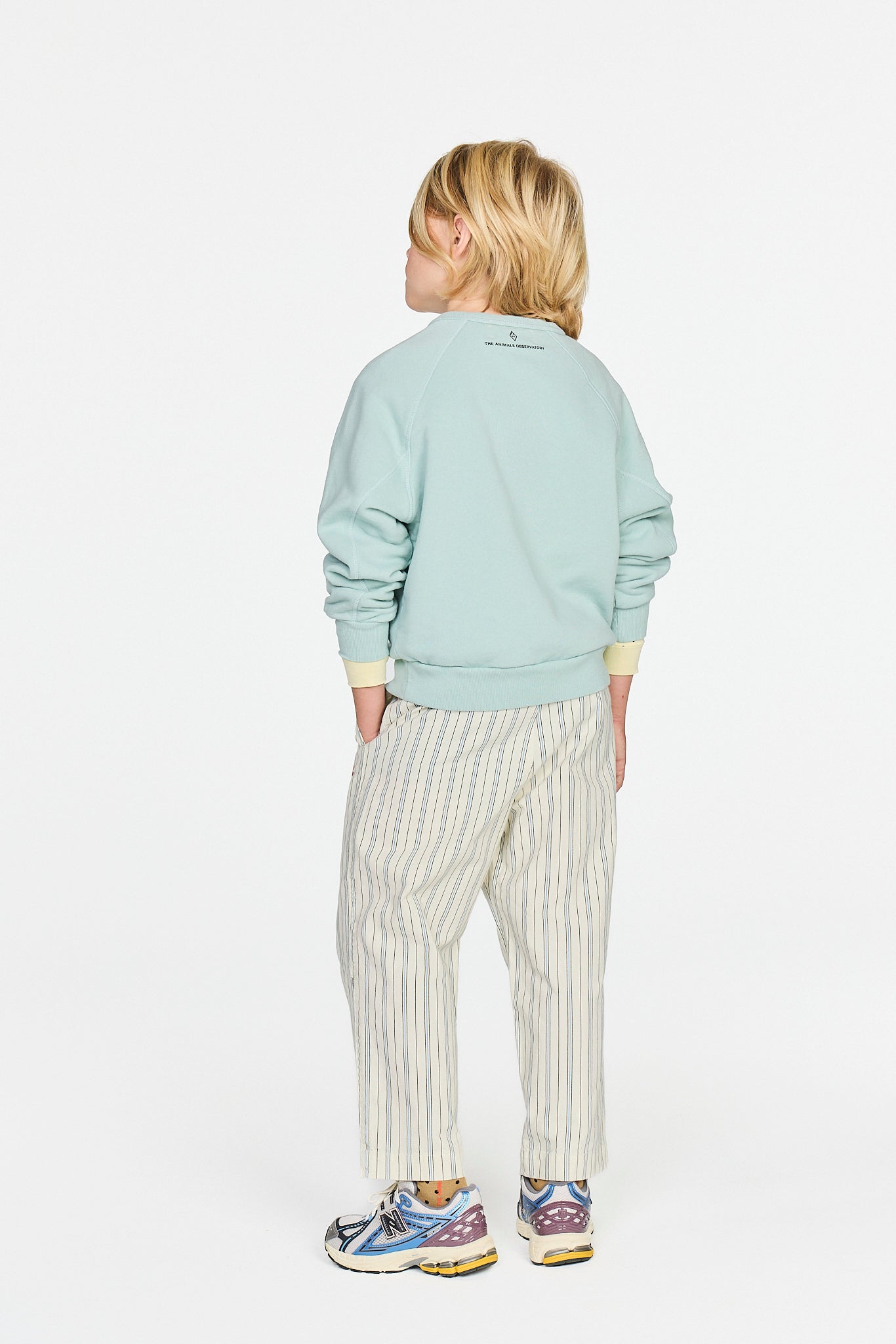 Light Blue Shark Sweatshirt MODEL BACK