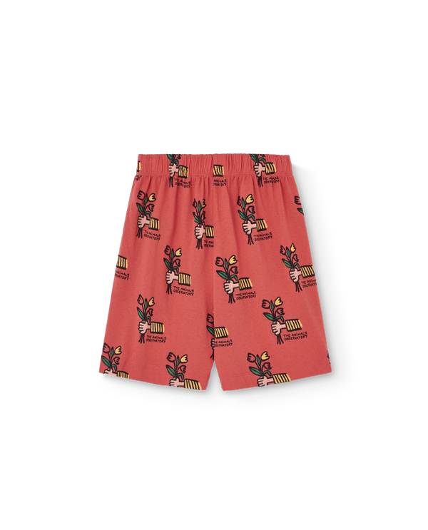 Red Mole Bermuda Shorts PRODUCT BACK