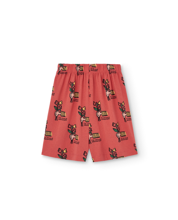 Red Mole Bermuda Shorts PRODUCT FRONT