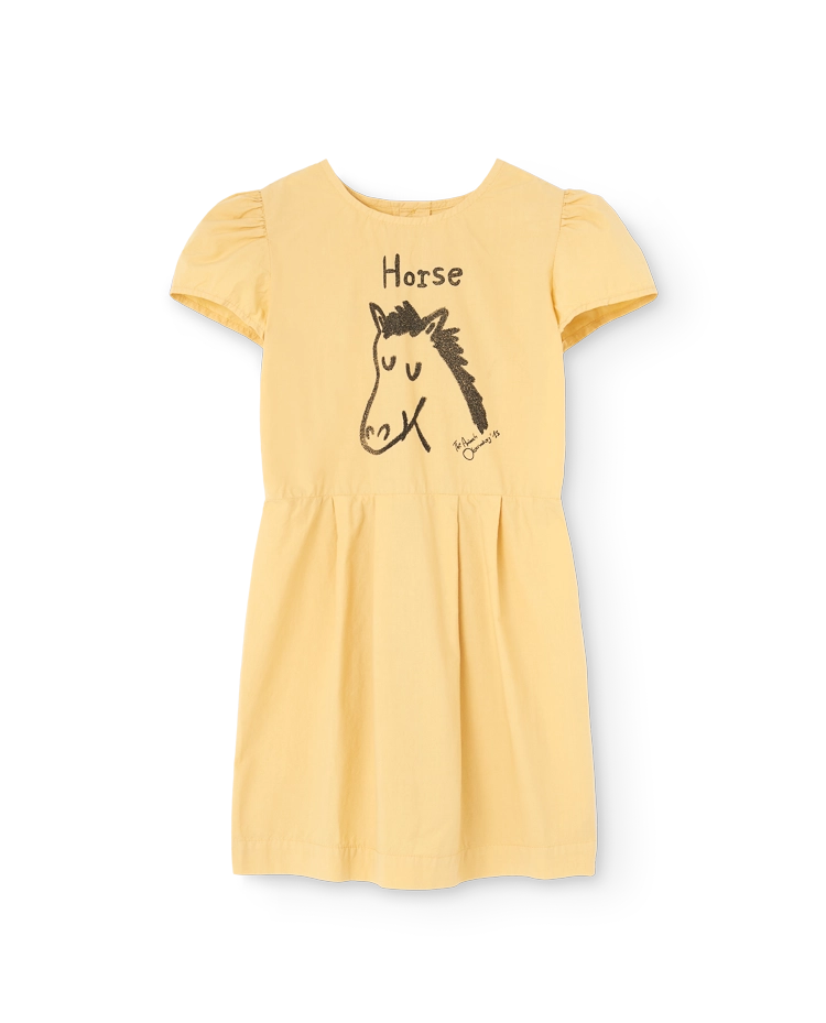 Beige Hummingbird Dress COVER