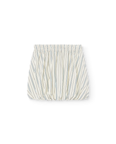 Striped Salamander Skirt PRODUCT FRONT