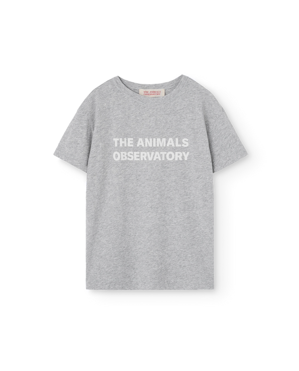 Grey Orion T-Shirt PRODUCT FRONT