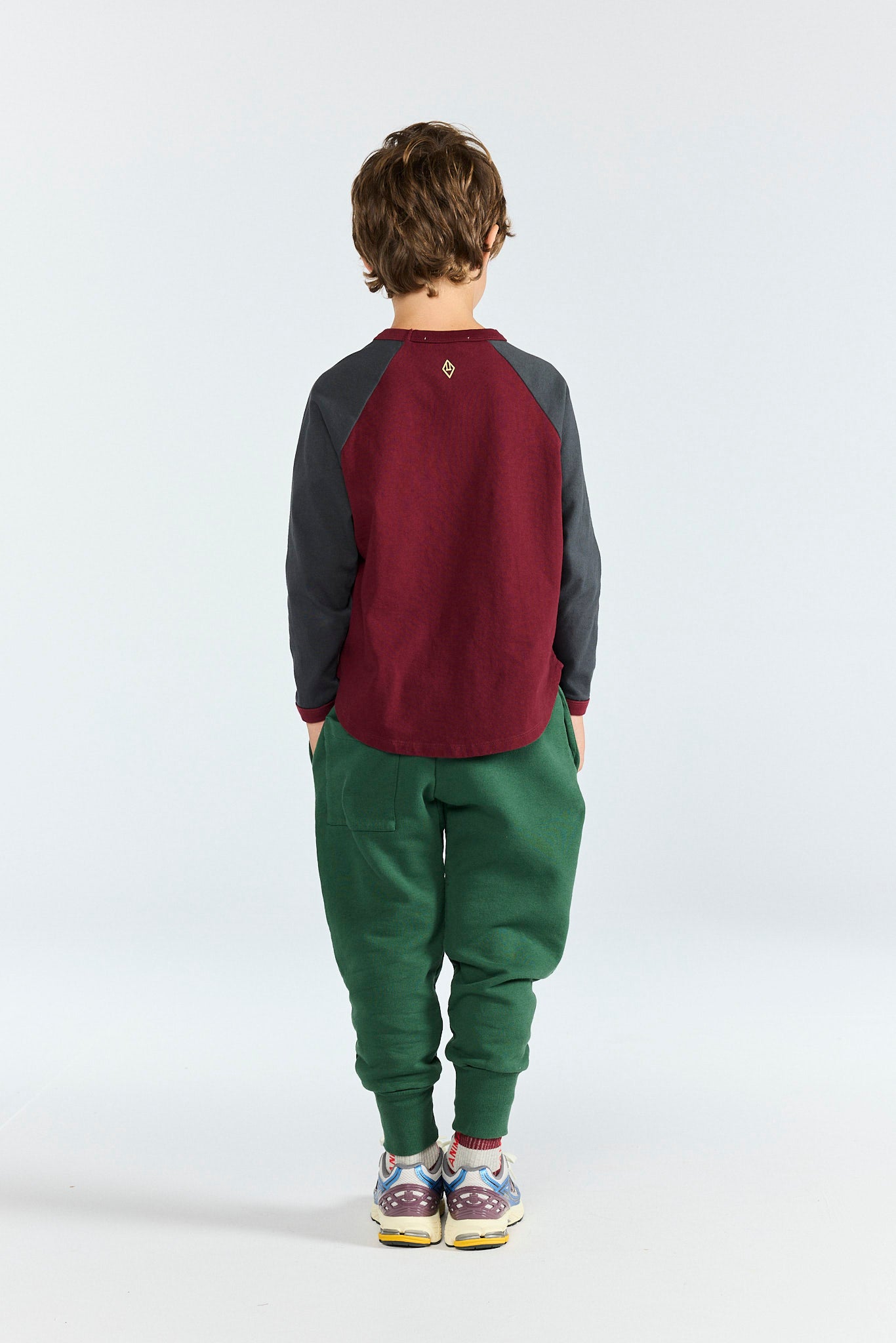 Browned Garnet Anteater Long Sleeve T-Shirt