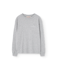 Grey Aries Long Sleeve T-Shirt COVER