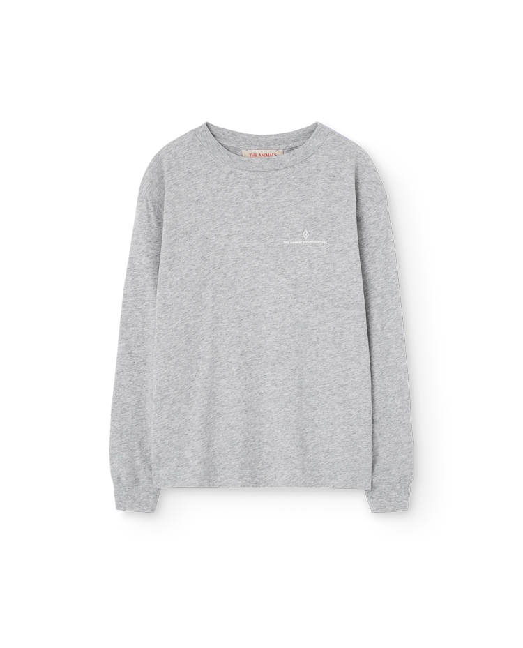 Grey Aries Long Sleeve T-Shirt COVER