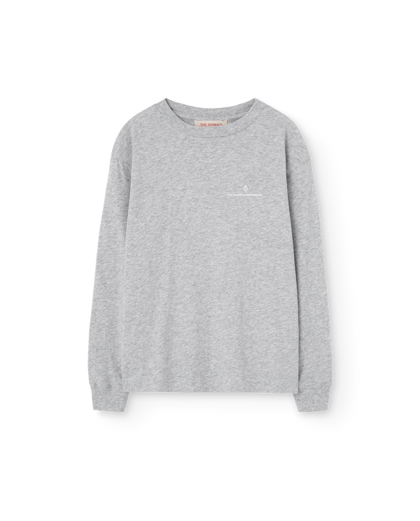Grey Aries Long Sleeve T-Shirt PRODUCT FRONT