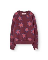 Stars Shark Sweatshirt COVER