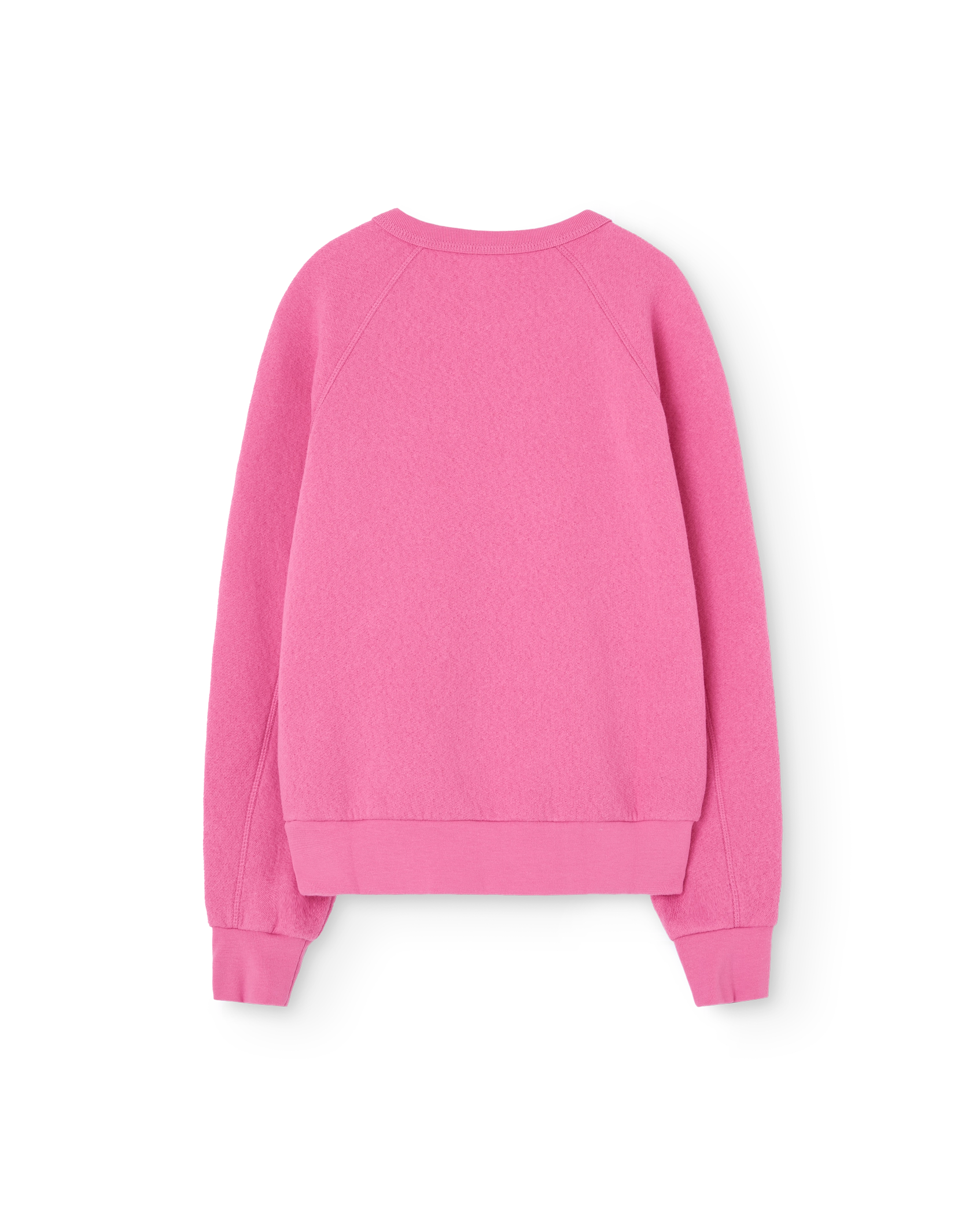 Bright Pink Shark Sweatshirt PRODUCT BACK