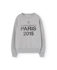 Sun Grey Bear Sweatshirt COVER