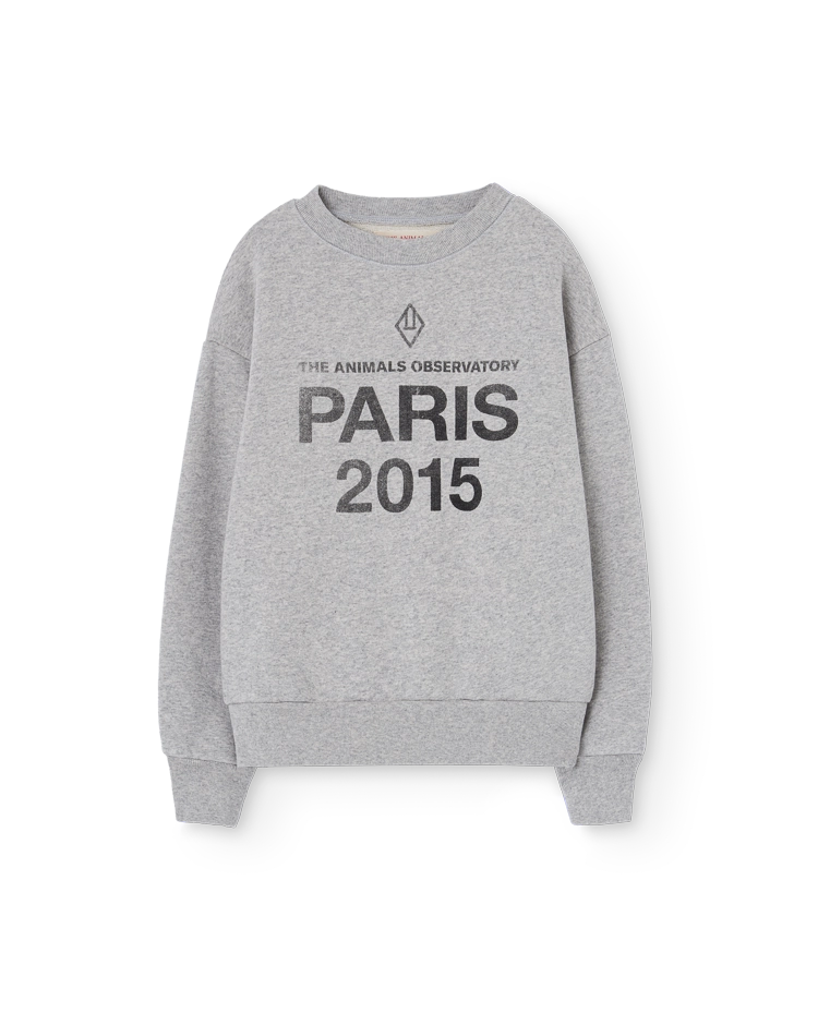 Sun Grey Bear Sweatshirt COVER