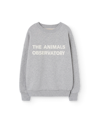 Grey Leo Sweatshirt COVER