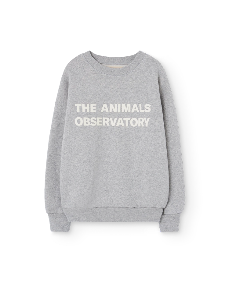 Grey Leo Sweatshirt COVER