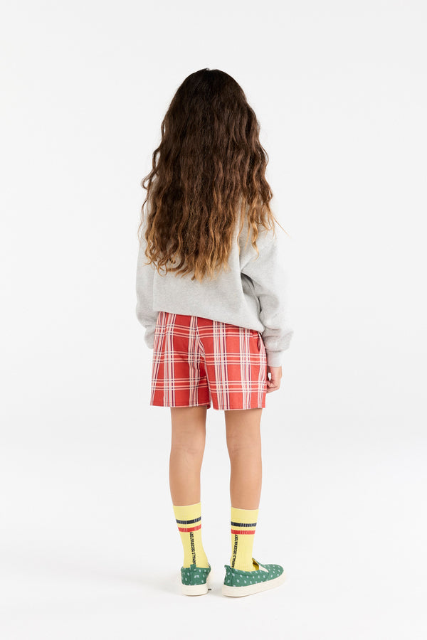Grey Leo Sweatshirt MODEL BACK