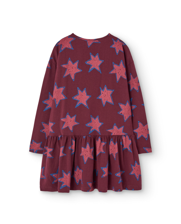 Stars Macaw Dress PRODUCT BACK