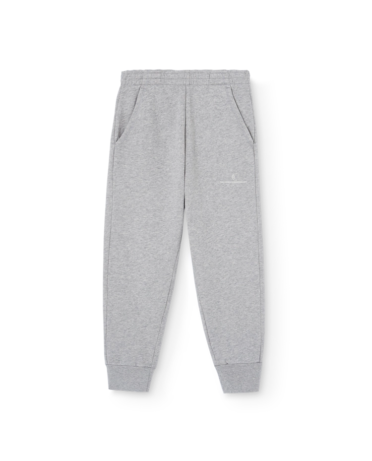 Grey Draco Sweatpants COVER