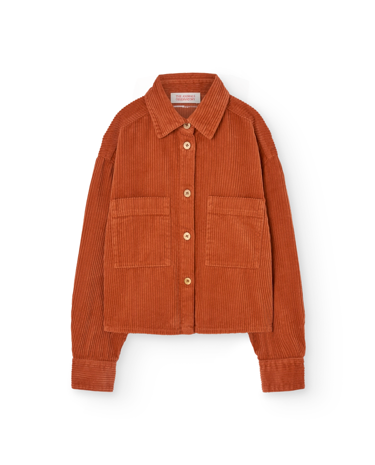 Fig Red Beabull Shirt COVER