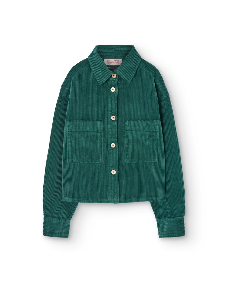 Green Beabull Shirt COVER