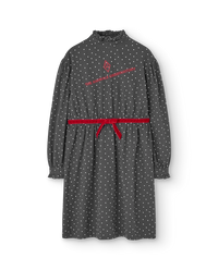 Dark Grey Tortoise Dress COVER