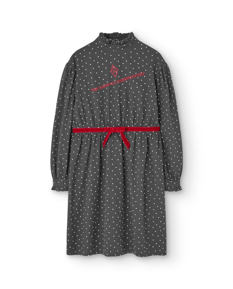 Dark Grey Tortoise Dress COVER