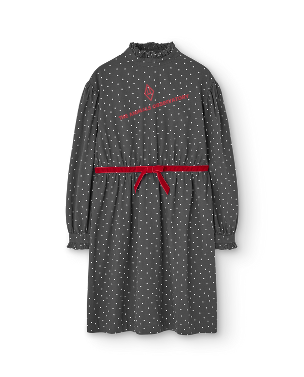 Dark Grey Tortoise Dress PRODUCT FRONT