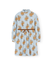 Blue Tortoise Dress COVER