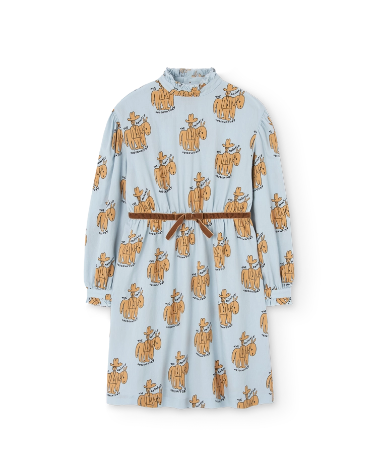 Blue Tortoise Dress COVER