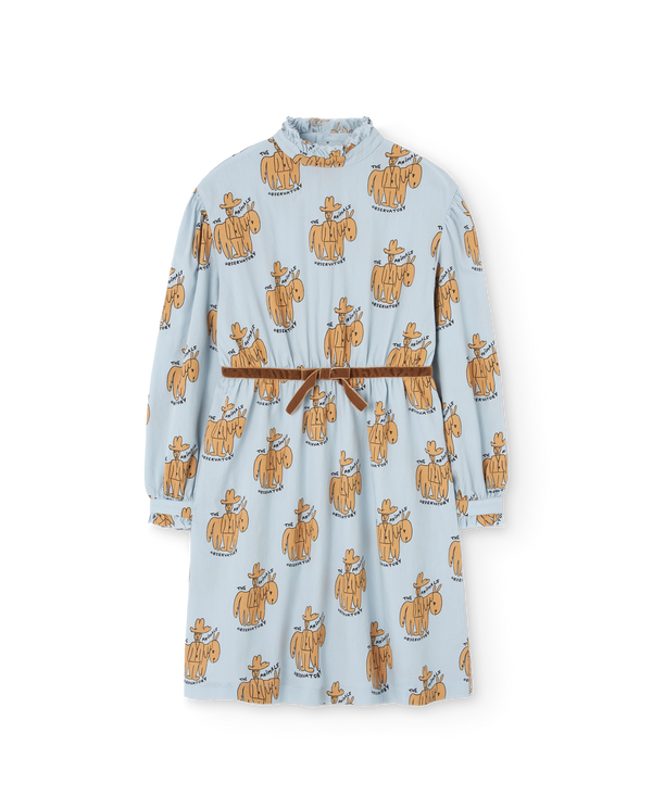 Blue Tortoise Dress PRODUCT FRONT