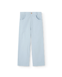 Blue Camel Pants COVER