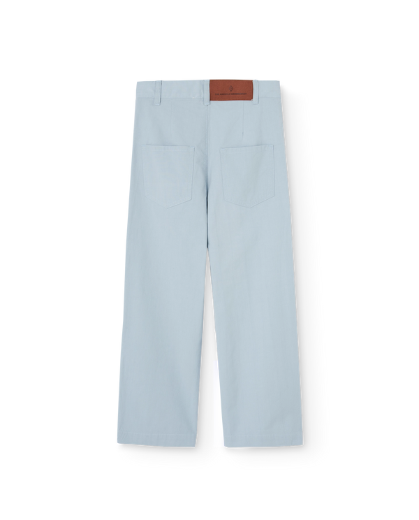 Blue Camel Pants PRODUCT BACK