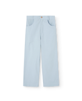 Blue Camel Pants PRODUCT FRONT