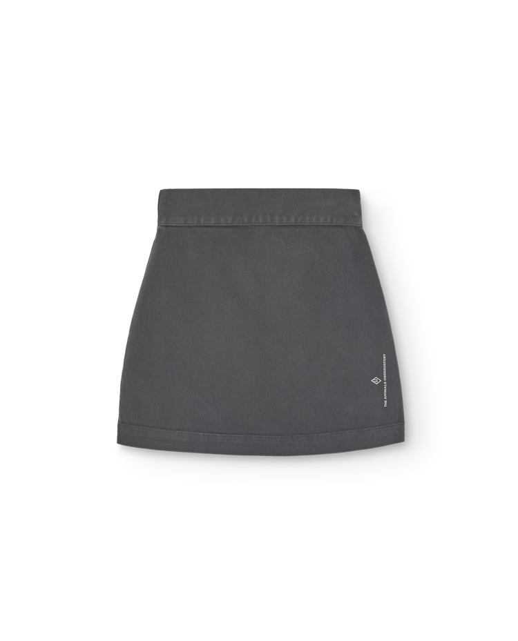 Dark Grey Swan Skirt COVER