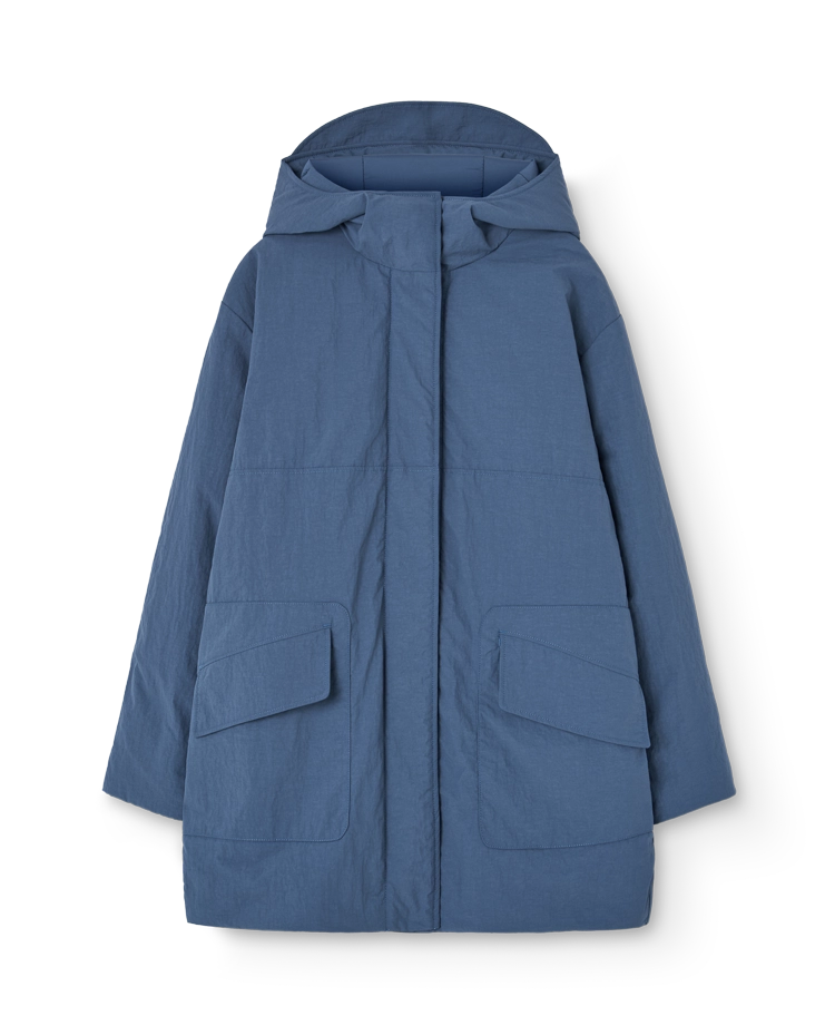 Blue-grey Lion Jacket COVER