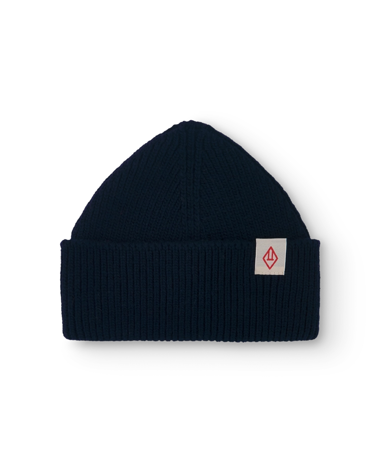Navy Pony Beanie COVER