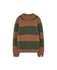 Stripes Brown Boxfish Sweater COVER