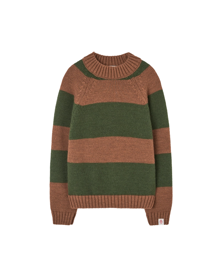 Stripes Brown Boxfish Sweater COVER