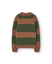 Stripes Brown Boxfish Sweater PRODUCT BACK
