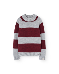 Stripes Grey Boxfish Sweater COVER