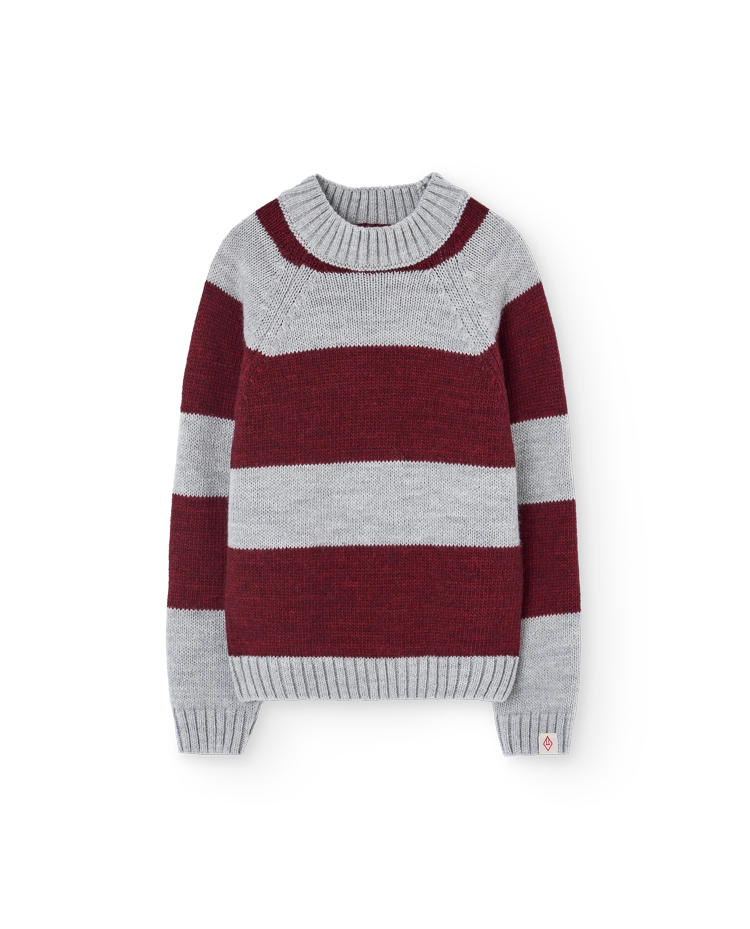 Stripes Grey Boxfish Sweater COVER