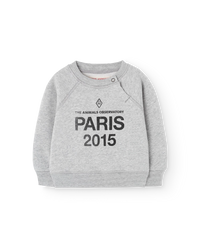 Sun Grey Jackal Sweatshirt COVER