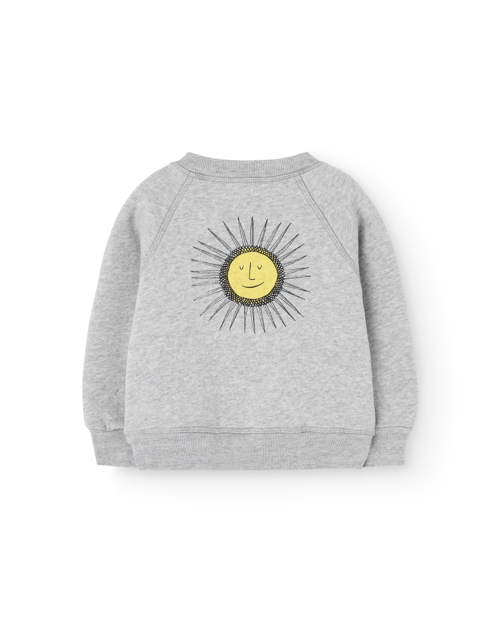 Sun Grey Jackal Sweatshirt PRODUCT BACK