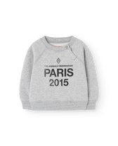 Sun Grey Jackal Sweatshirt PRODUCT FRONT